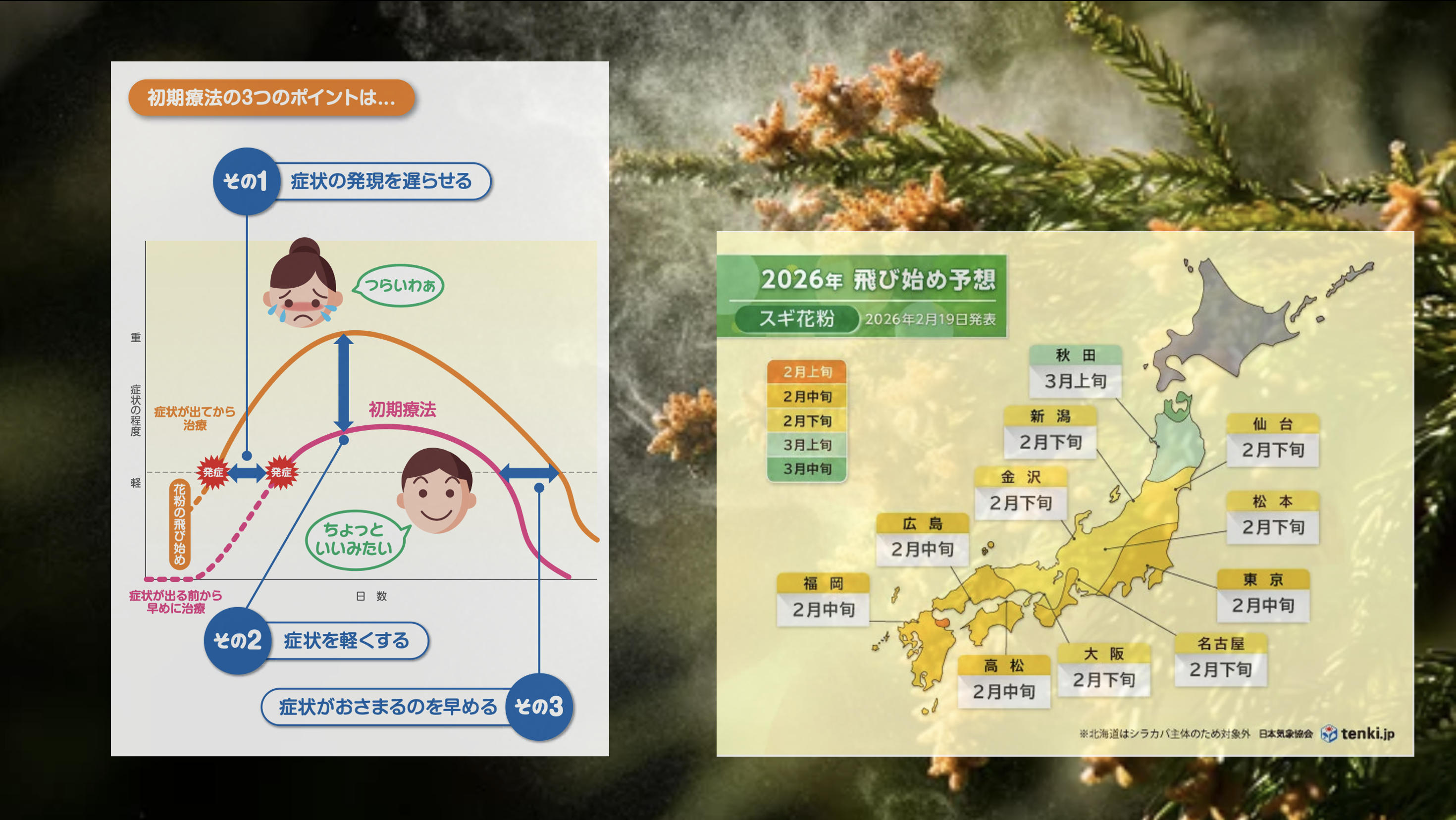 スクリーンショット 2026-02-27 10.36.44.png